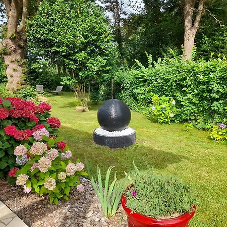 La Clairiere Du Seignanx Bed & Breakfast Saint-Martin-de-Seignanx Luaran gambar