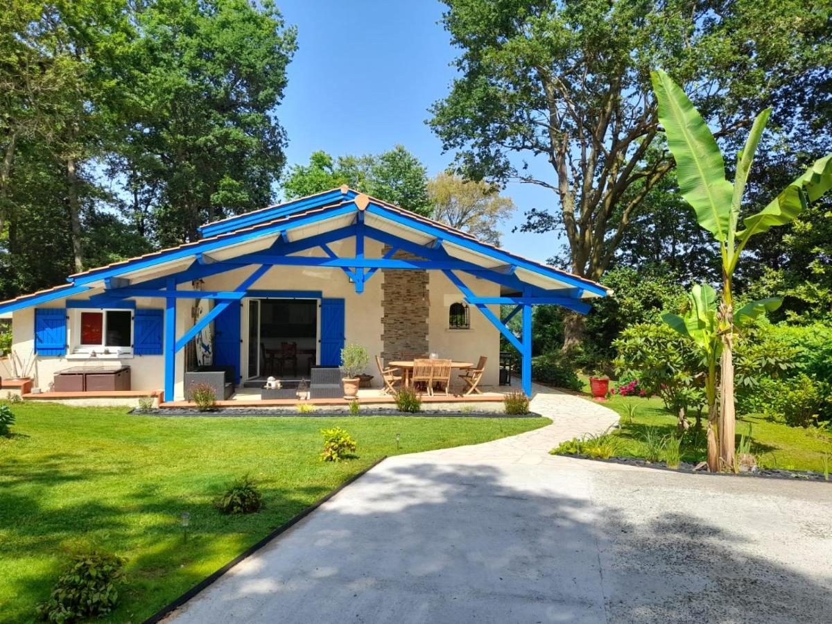 La Clairiere Du Seignanx Bed & Breakfast Saint-Martin-de-Seignanx Luaran gambar