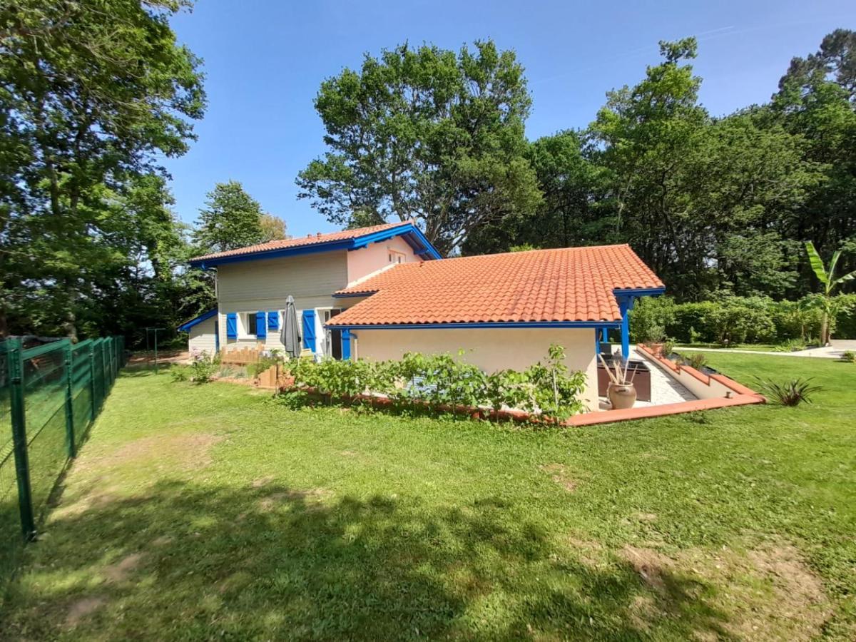 La Clairiere Du Seignanx Bed & Breakfast Saint-Martin-de-Seignanx Luaran gambar