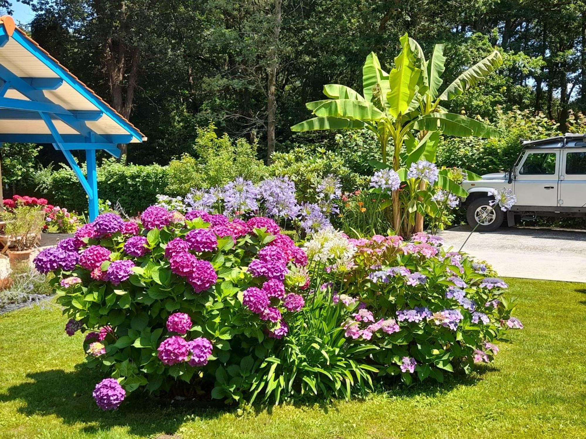 La Clairiere Du Seignanx Bed & Breakfast Saint-Martin-de-Seignanx Luaran gambar
