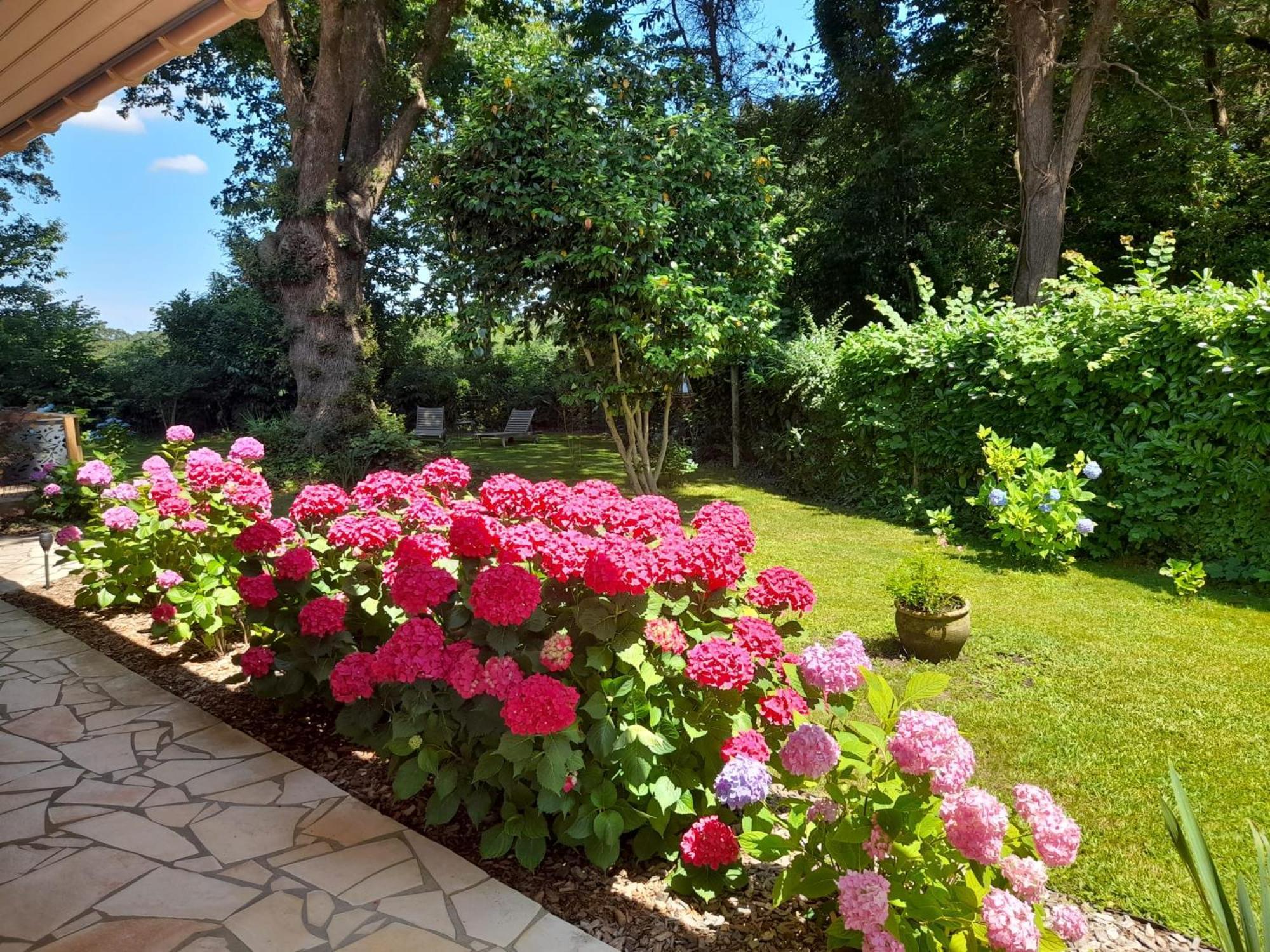 La Clairiere Du Seignanx Bed & Breakfast Saint-Martin-de-Seignanx Luaran gambar