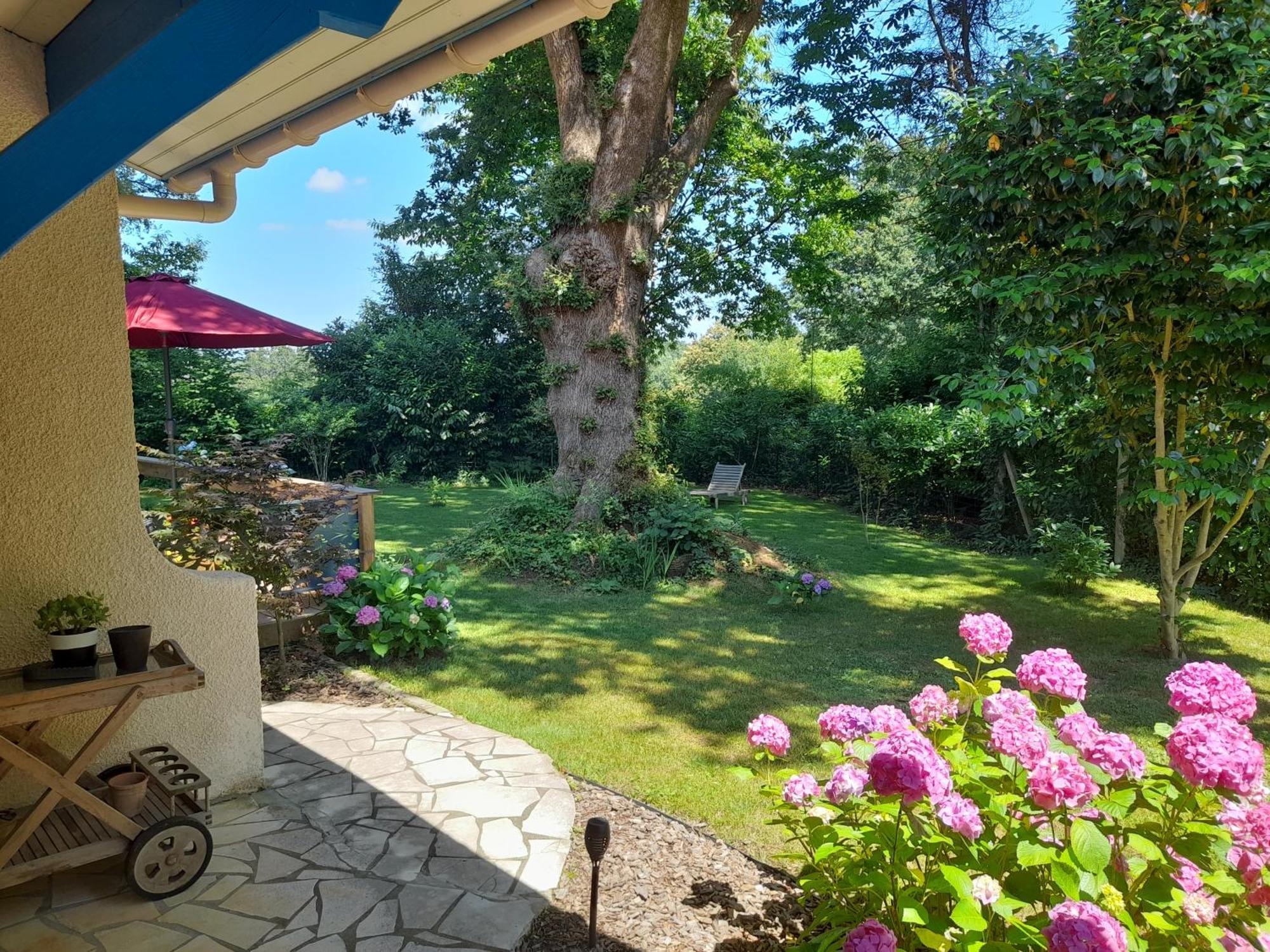 La Clairiere Du Seignanx Bed & Breakfast Saint-Martin-de-Seignanx Luaran gambar